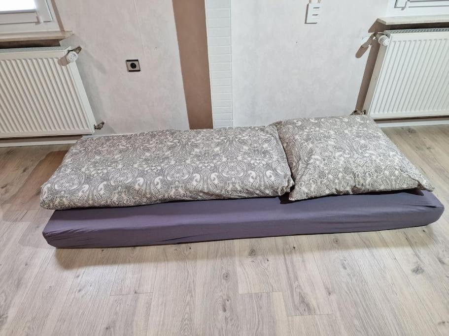 Grosszuegige Ferienwohnung 4+1 P. Buettelborn Экстерьер фото